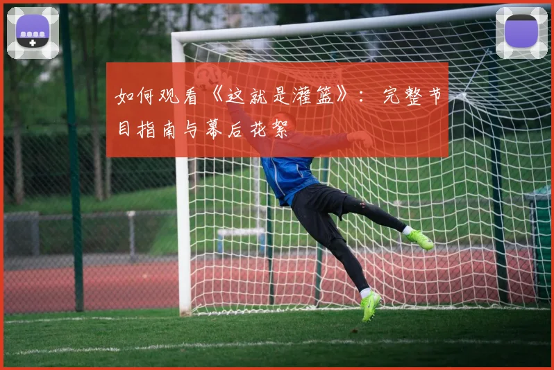如何观看《这就是灌篮》:完整节目指南与幕后花絮
