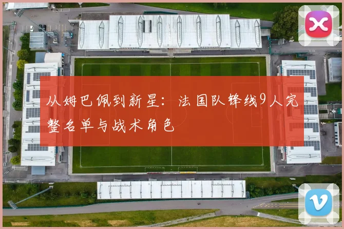 从姆巴佩到新星：法国队锋线9人完整名单与战术角色